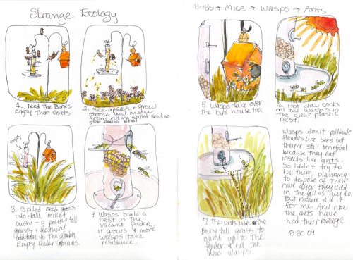 Weird Ecology, ink & watercolor in sketchbook