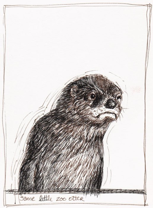 Otter, Sepia & Black Pitt Artist Pens