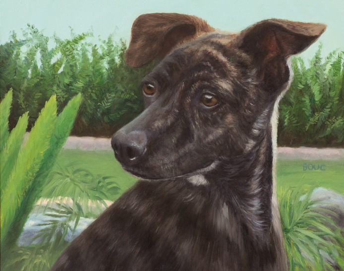 Leo, Dog Portrait, Take Two, oil on panel, 8x10