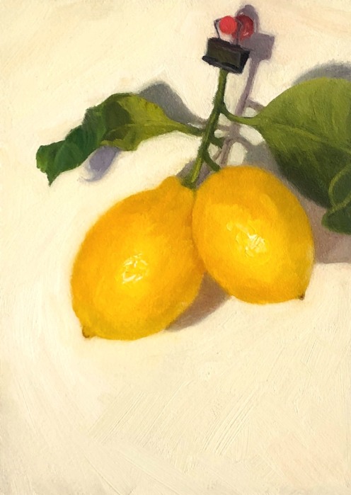 Hanging Lemons, oil on Gessobord panel, 7x5"